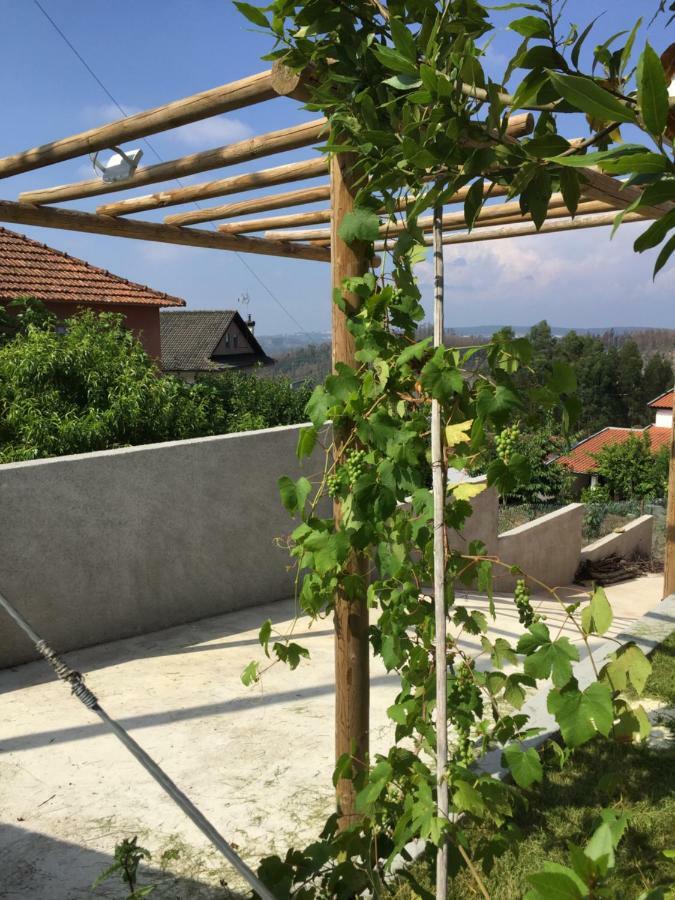 Vale Coelhos Casa De Campo Sarnadela Esterno foto